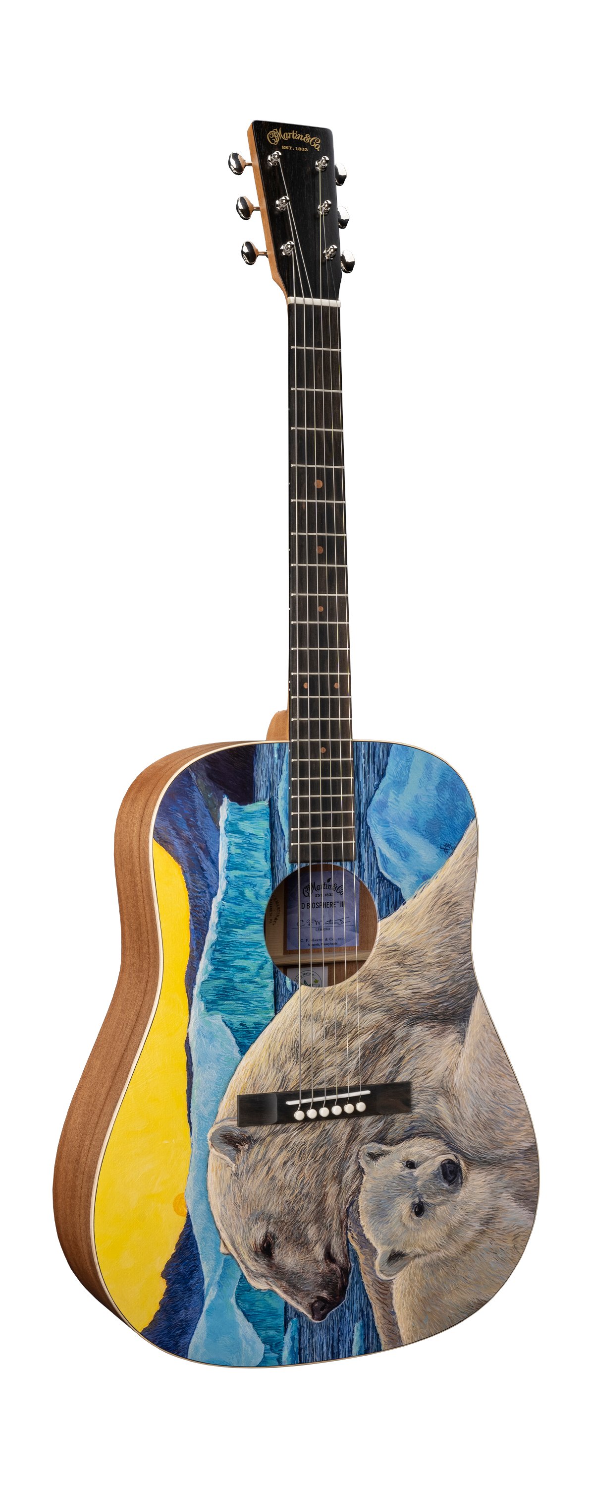 Martin D Biosphere&reg; III Guitar image number 1