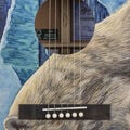 Body of Martin D Biosphere&reg; III Guitar image number 3